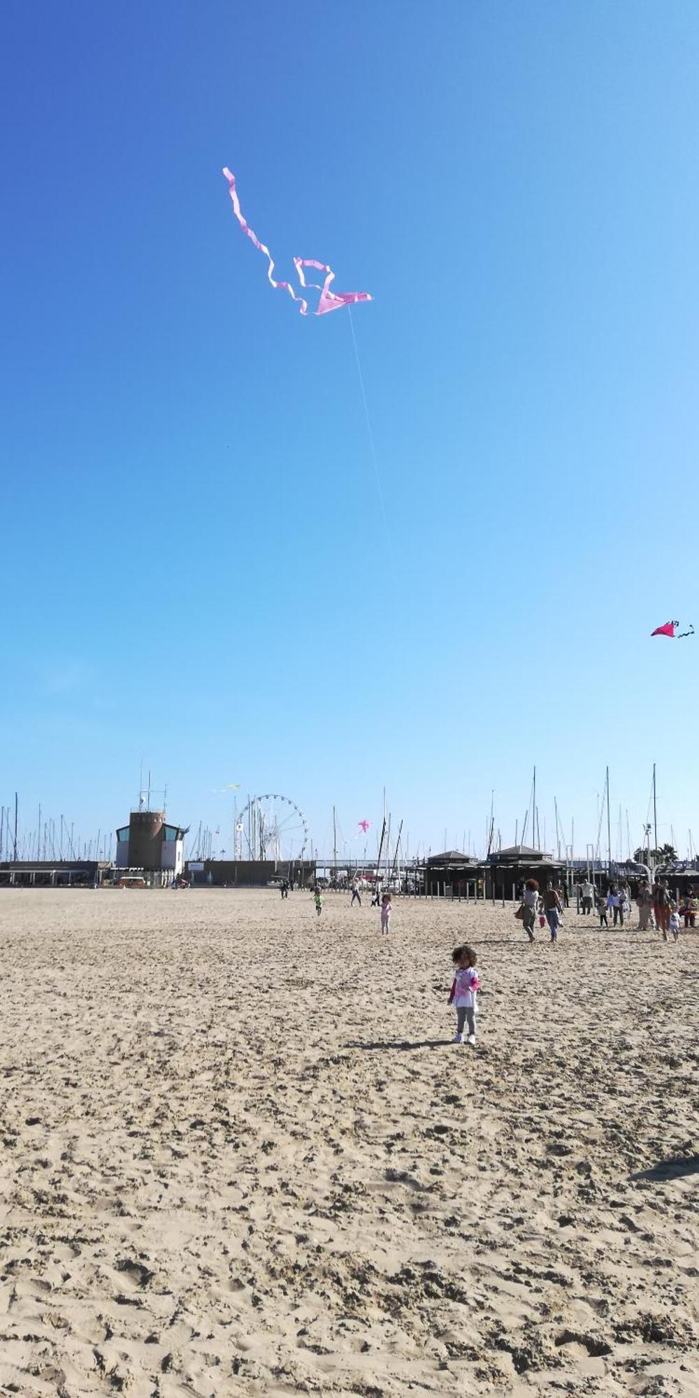 Il Granchio Blu Apartment Rimini Bagian luar foto